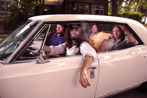 the sheepdogs